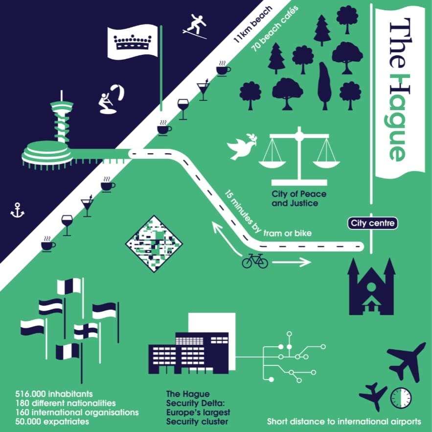 infographic den haag city statistics