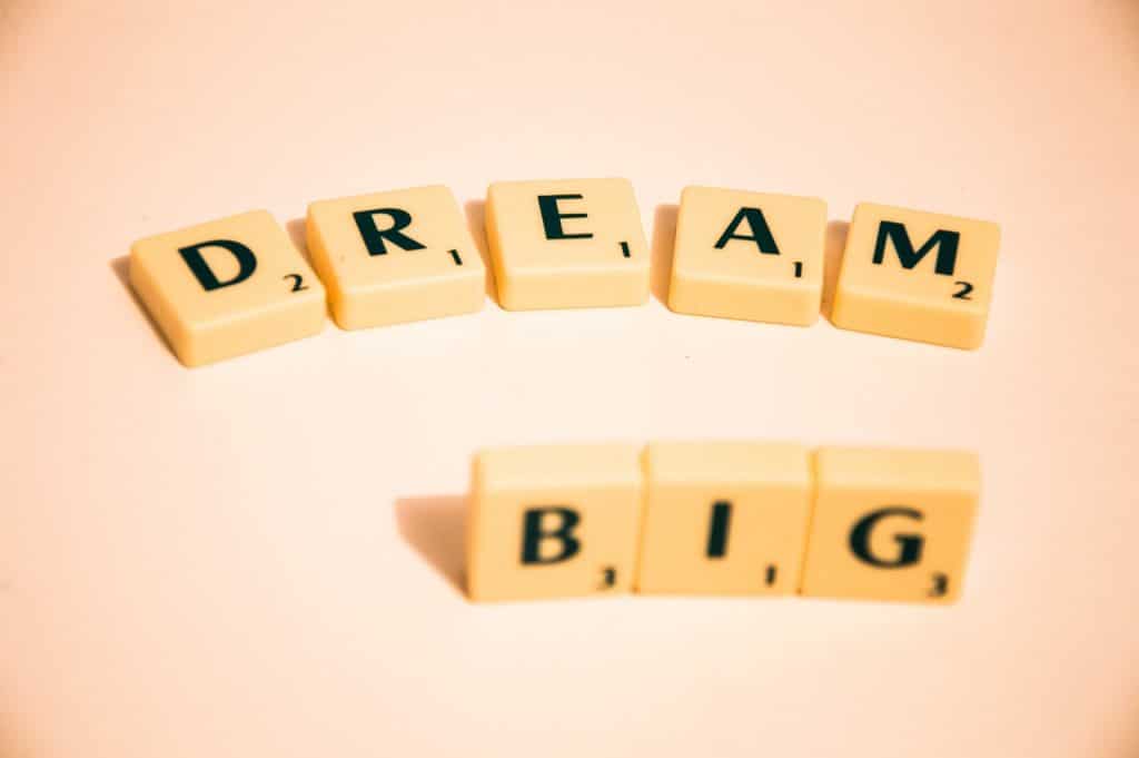 succesvol worden; dream big