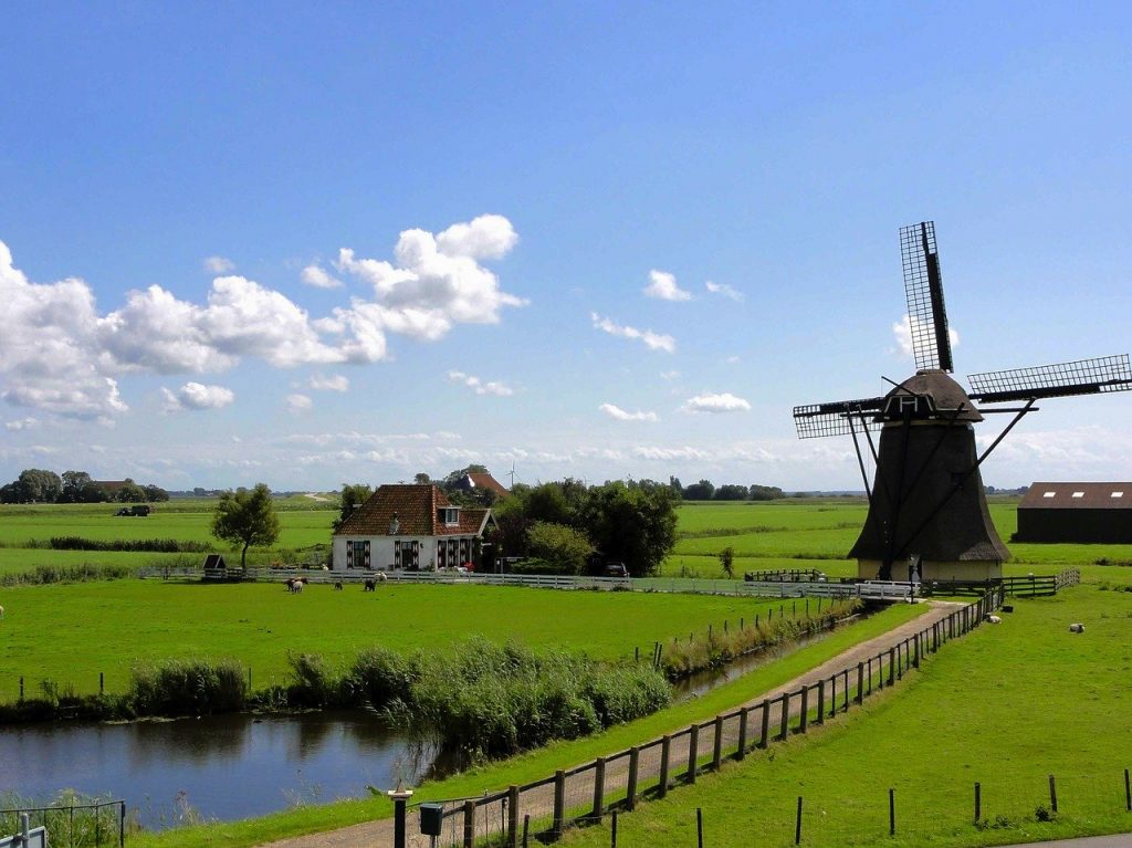 waarom kiezen expats voor nederland